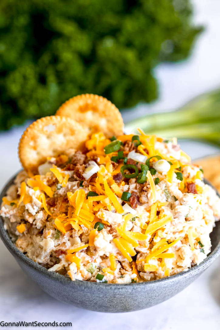 Million dollar dip is thick, creamy, and flavorful. Made with 4 different kinds of cheese, bacon bits, and almonds. Serve it with chips or veggies! #milliondollardip #diprecipes million dollar dip with Ritz crackers dipped