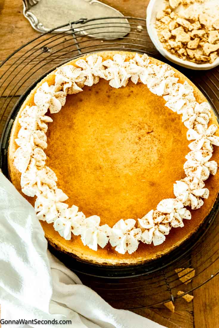 Our pumpkin cheesecake is rich, super creamy, and velvety smooth. It's the perfect holiday dessert, but why limit to such a short season? #pumpkincheesecake #cheesecake whole pumpkin pie cheesecake top shot