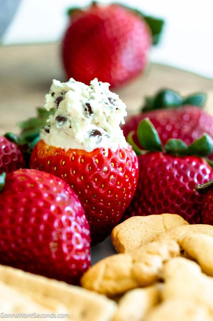Booty dip is a sweet and creamy no-bake dip. This delicious dessert dip is made with cream cheese, marshmallow fluff, Cool Whip, and mini chocolate chips. #dessertdip #bootydip Booty dip dessert on top of a fresh strawberry