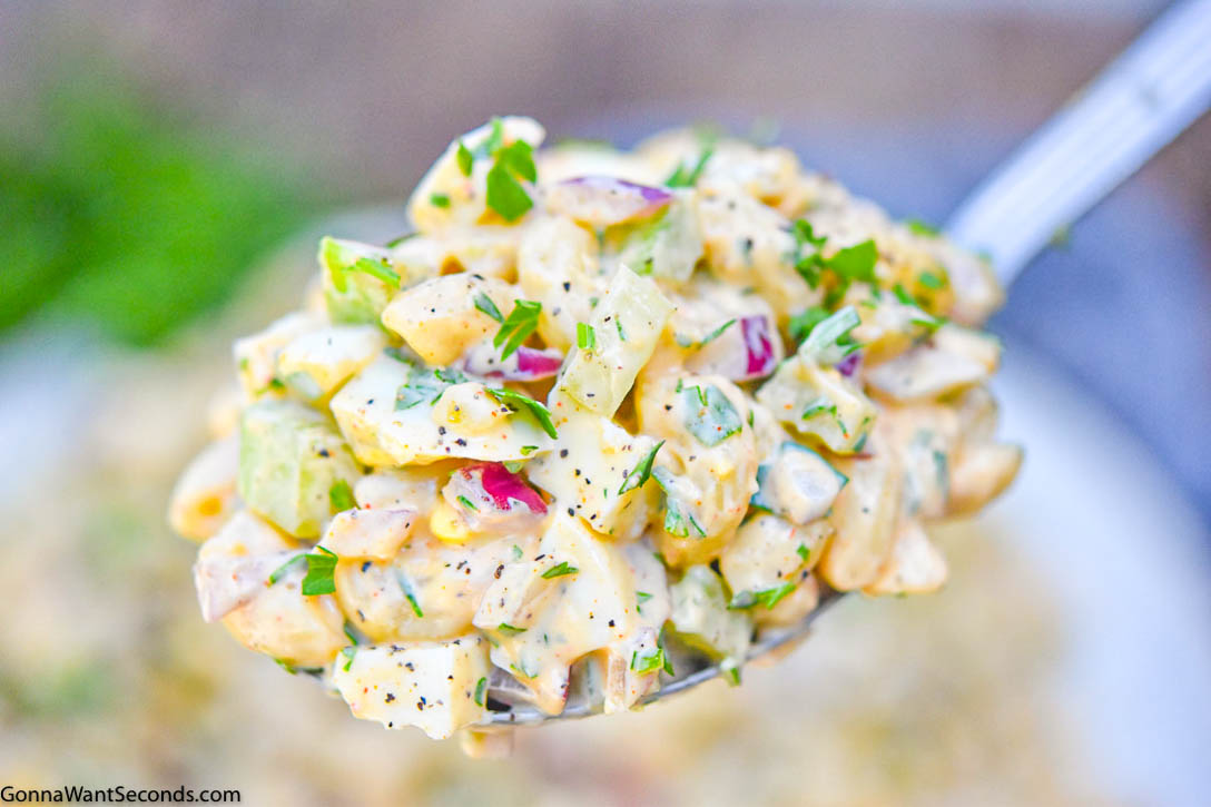 A spoonful of egg macaroni salad