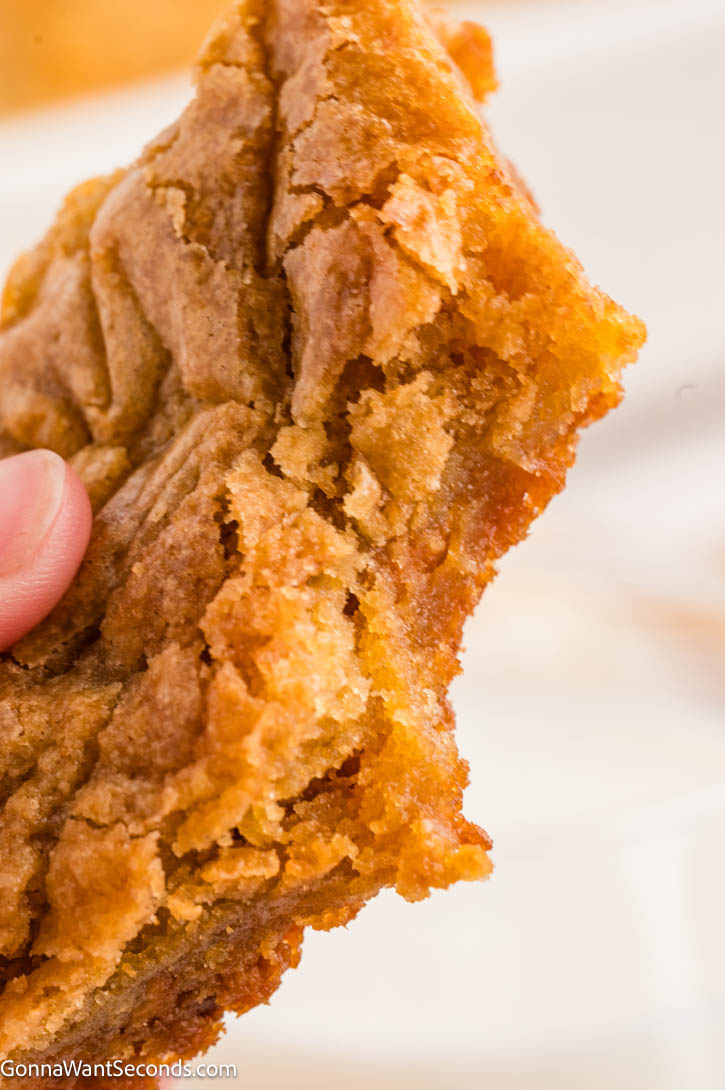 These butterscotch bars are a one-bowl dessert with ingredients you likely already have on hand. Quick to prepare and delicious to serve at the end of any meal. #butterscotch #butterscotchbars
