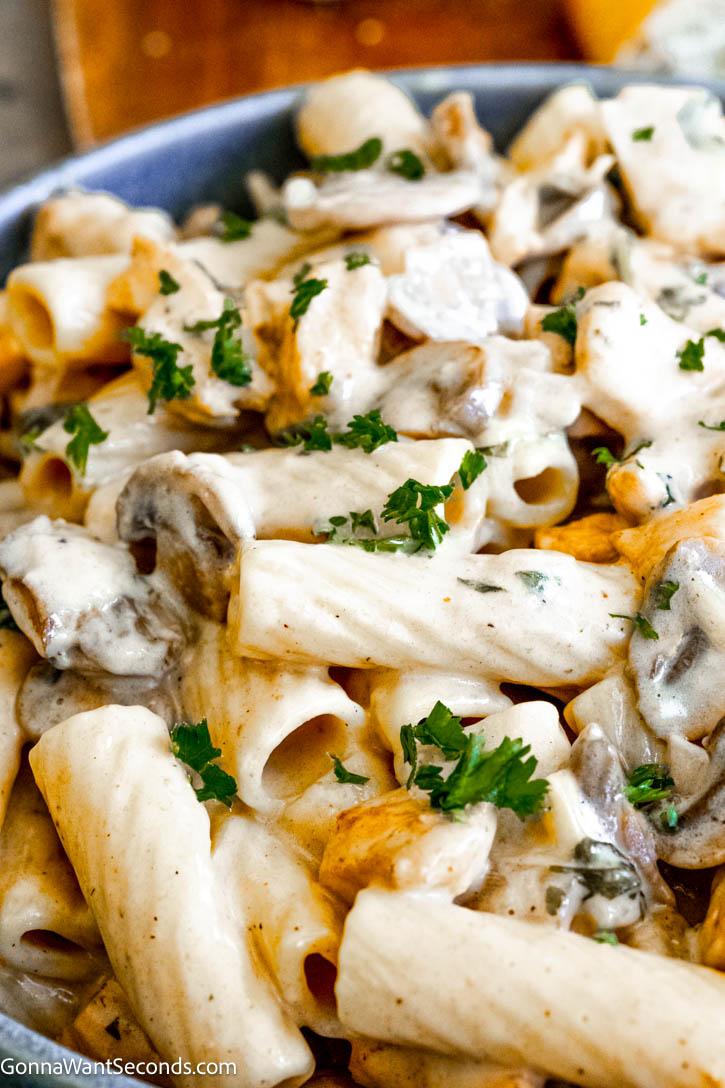 This Rigatoni D is smothered with caramelized onions and garlic, sautéed balsamic mushrooms, and tender chicken breast, all in a creamy marsala wine sauce. Rigatoni D in a bowl