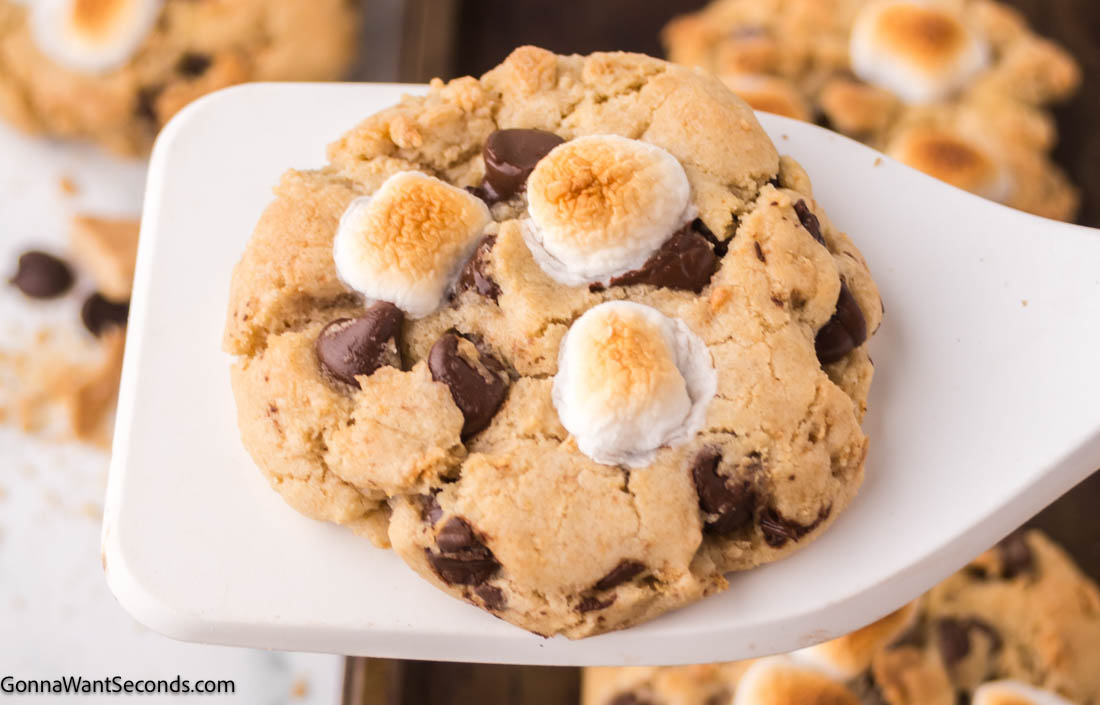S'mores Cookies close up