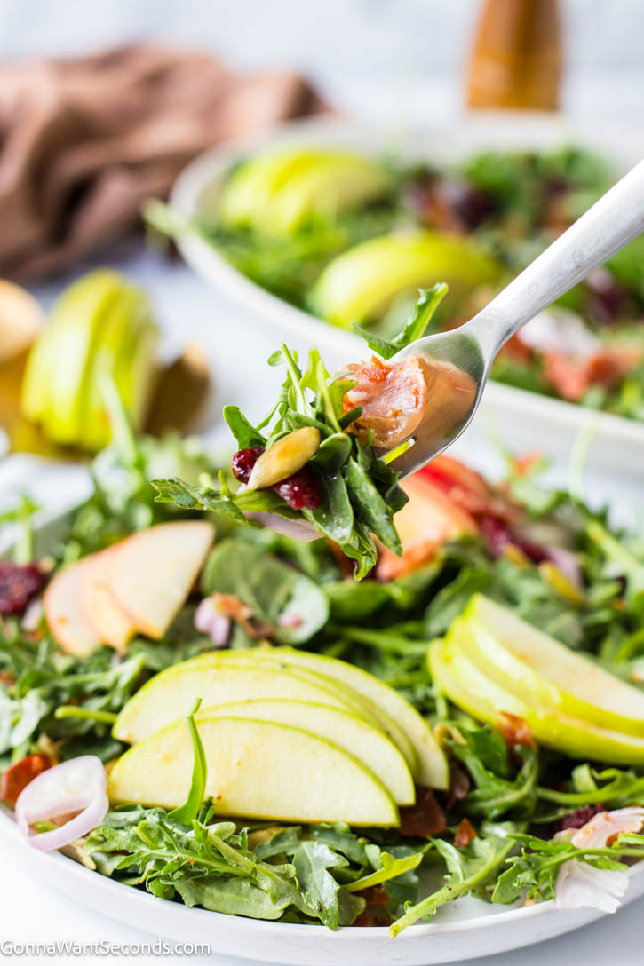 Crisp apples, goat cheese, cranberries, and prosciutto tossed in maple vinaigrette make this Harvest Salad the ultimate fall side dish. #fallsalad #harvestsalad autumn salad on a fork close up