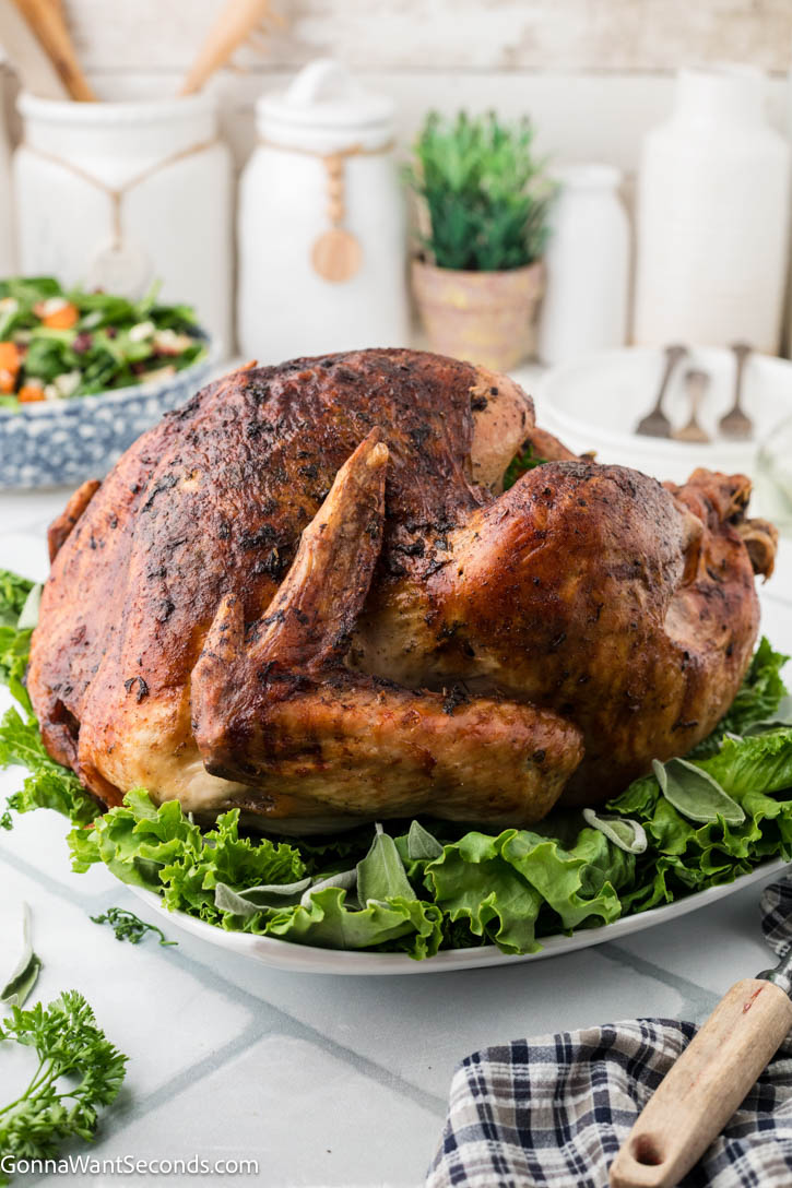 Golden, juicy roasted turkey + silky homemade gravy—step-by-step tips, foolproof flavor, and everything you need for a perfect holiday bird. #roastedturkey #turkeyrecipes Whole golden, juicy roast turkey on a serving platter