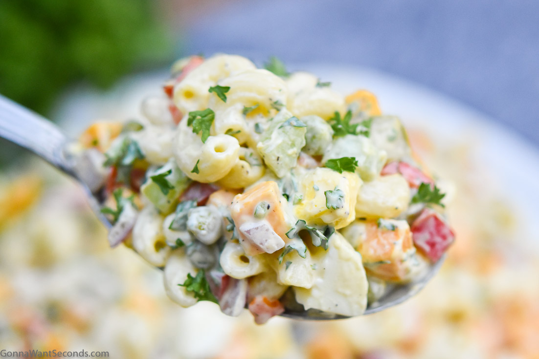 A spoonful of best macaroni salad