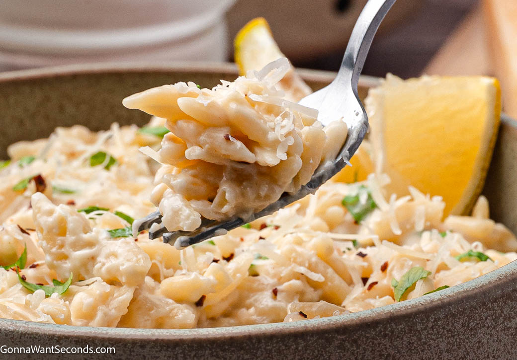Creamy garlic Parmesan orzo made in one pan with simple ingredients. This easy side dish is rich, cozy, and perfect with chicken or beef dinners. #garlicparmesanorzo #creamygarlicparmesanorzo Fork scooping Creamy garlic parmesan orzo pasta