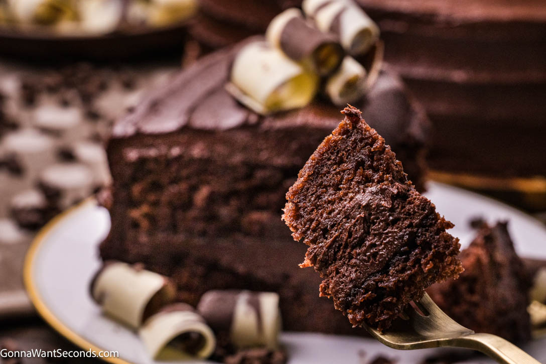 a piece of best chocolate cake on a fork, close up