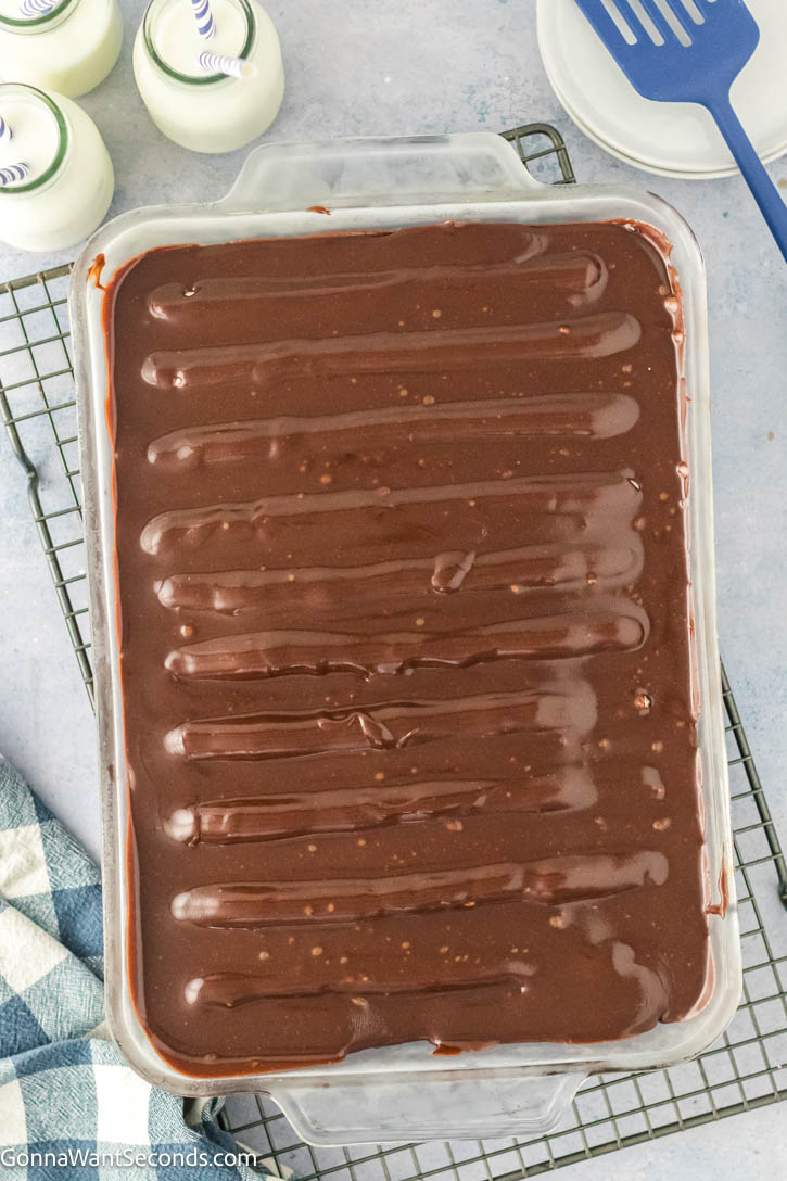 This nostalgic Detroit Bumpy Cake features soft chocolate cake, fluffy buttercream bumps, and glossy fudge frosting just like the famous bakery classic. #bumpycake #chocolatecake Detroit Bumpy Cake with frosting top shot