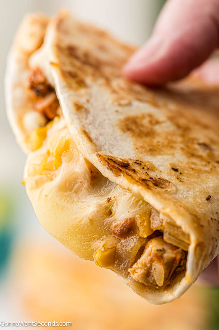 Chicken fajita quesadilla with seasoned chicken, peppers, onions, corn, and melty cheese in a crispy tortilla. Easy, cheesy, and perfect for weeknights. #chickenfajitas #chickenquesadillas Chicken fajita quesadilla close up