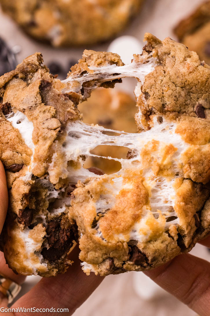 These chocolate chip marshmallow cookies have crisp golden edges, soft chewy centers, rich brown-butter flavor, with gooey, melty marshmallow in every bite. #chocolatechipcookies #marshmallowcookies chocolate chip marshmallow cookies broken in half