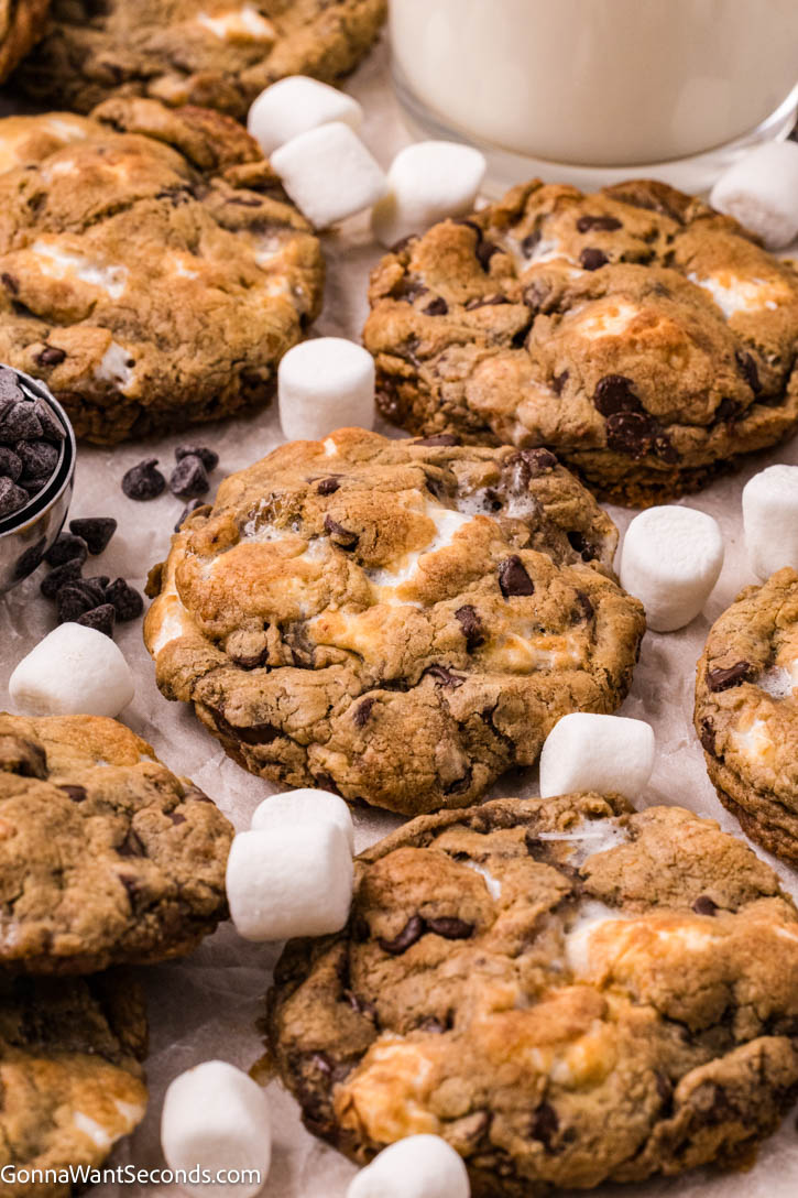 These chocolate chip marshmallow cookies have crisp golden edges, soft chewy centers, rich brown-butter flavor, with gooey, melty marshmallow in every bite. #chocolatechipcookies #marshmallowcookies chocolate chip marshmallow cookies