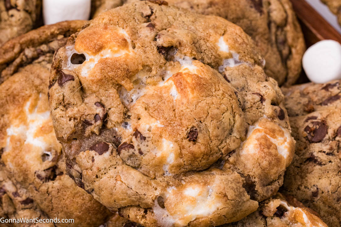 These chocolate chip marshmallow cookies have crisp golden edges, soft chewy centers, rich brown-butter flavor, with gooey, melty marshmallow in every bite. #chocolatechipcookies #marshmallowcookies chocolate chip marshmallow cookies close up