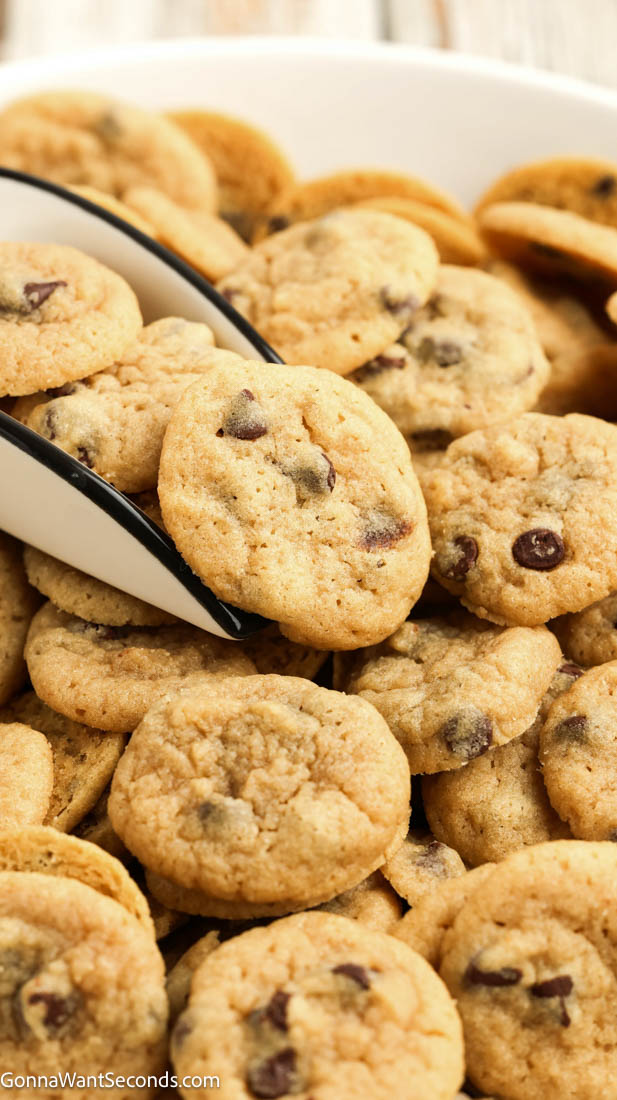 These Mini Chocolate Chip Cookies are soft, chewy, and perfectly bite-sized, with plenty of mini chocolate chips in every little cookie. #chocolatechipcookies #cookies A ceramic scooper scoops fresh-baked mini chocolate chip cookies from a bowl