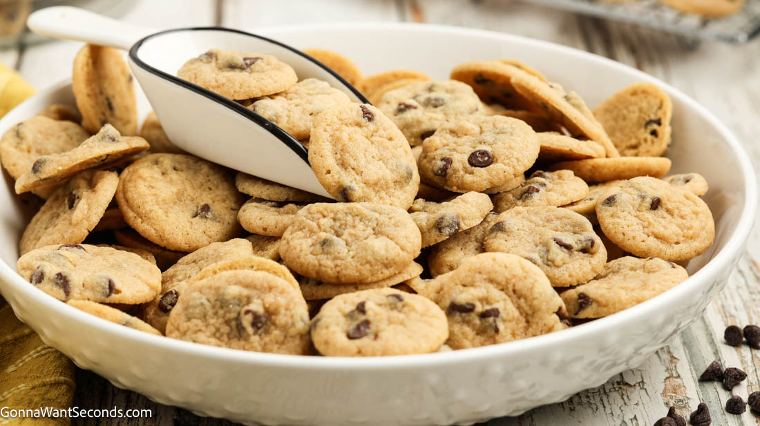 A ceramic scooper scoops fresh-baked mini chocolate chip cookies from a bowl
